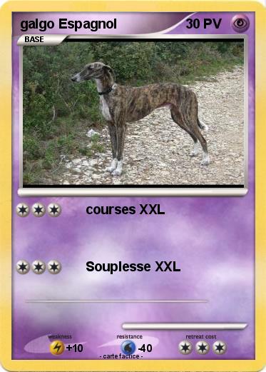 Pokemon galgo Espagnol