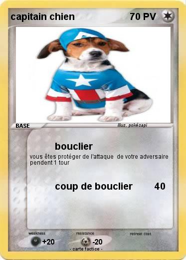 Pokemon capitain chien