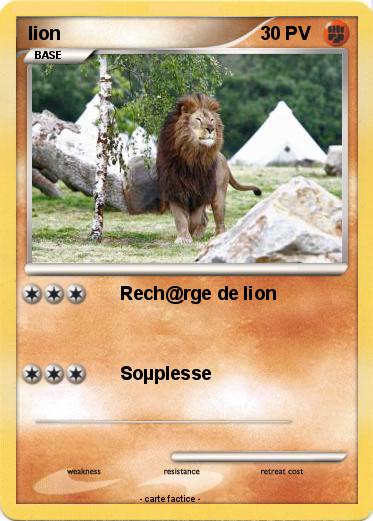 Pokemon lion