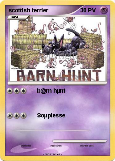 Pokemon scottish terrier