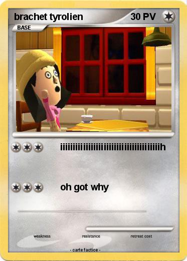 Pokemon brachet tyrolien