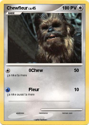 Pokemon Chewfleur