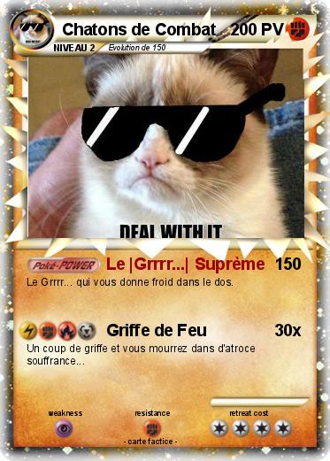 Pokemon Chatons de Combat