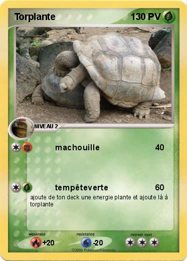 Pokemon Torplante