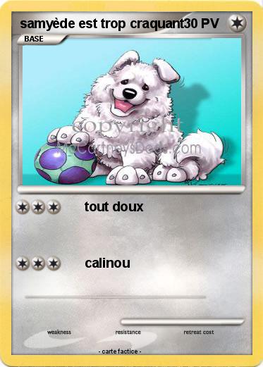 Pokemon samyède est trop craquant