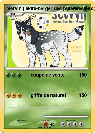 Pokemon Servin ( akita-berger des pyrénées mix )