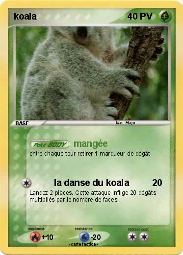 Pokemon koala