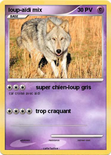 Pokemon loup-aïdi mix
