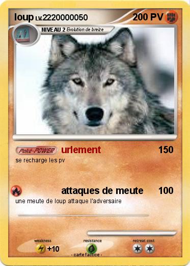 Pokemon loup