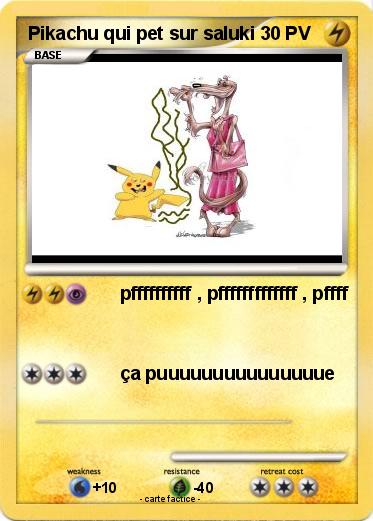 Pokemon Pikachu qui pet sur saluki