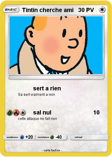 Pokemon Tintin cherche ami