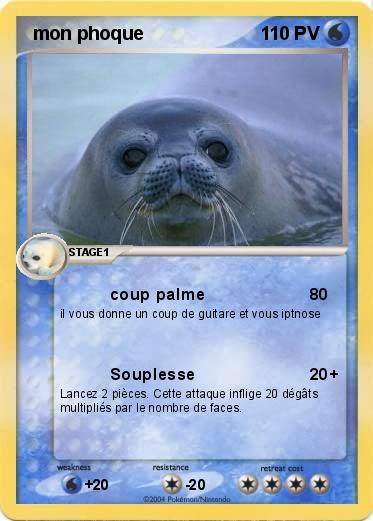 Pokemon  mon phoque