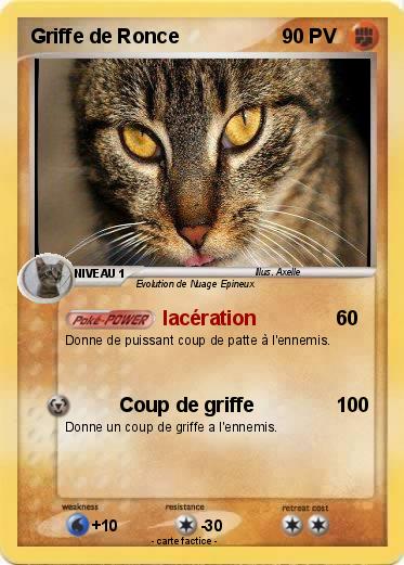 Pokemon Griffe de Ronce