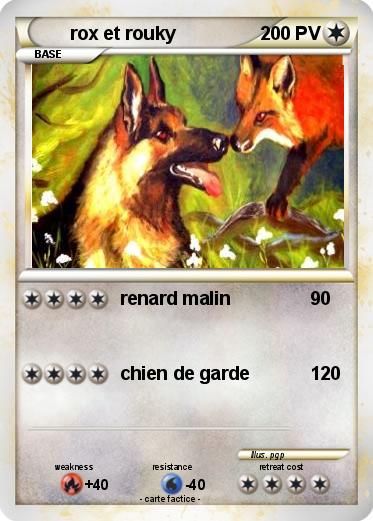 Pokemon rox et rouky