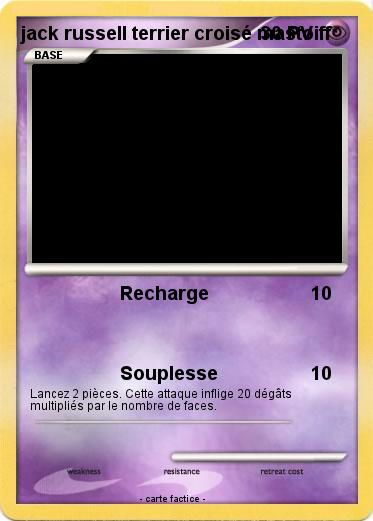 Pokemon jack russell terrier croisé mastoiff