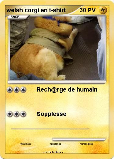 Pokemon welsh corgi en t-shirt