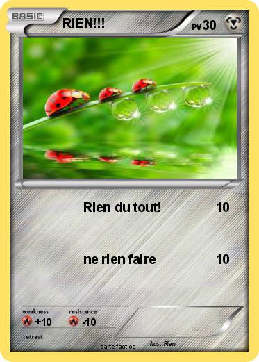 Pokemon RIEN!!!