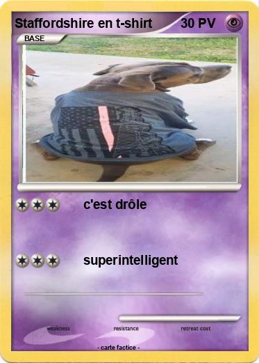 Pokemon Staffordshire en t-shirt