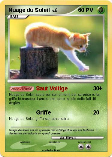 Pokemon Nuage du Soleil