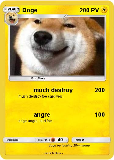 Pokemon Doge
