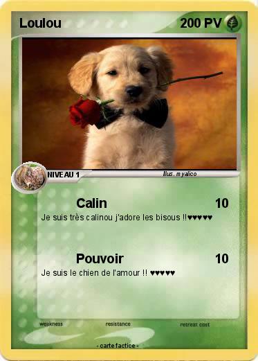 Pokemon Loulou