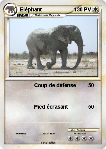 Pokemon Eléphant