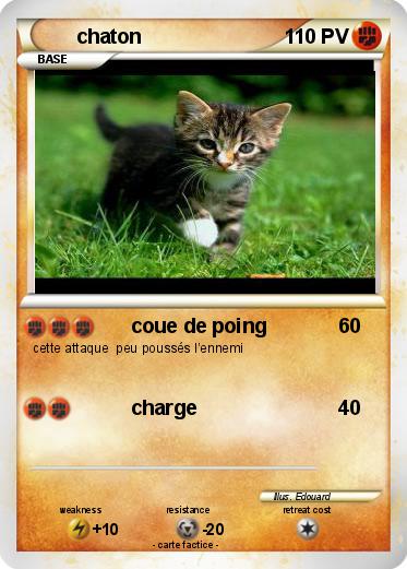Pokemon chaton