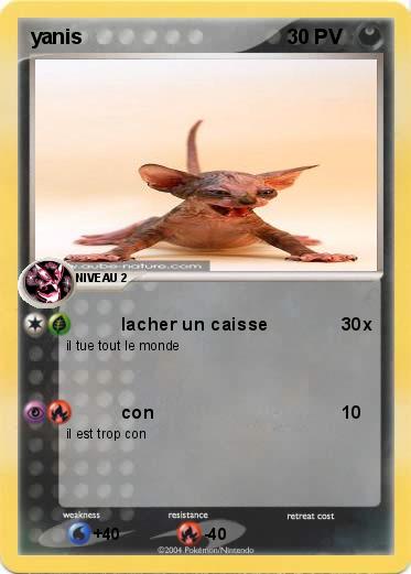 Pokemon yanis