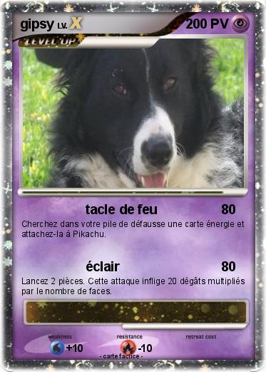 Pokemon gipsy