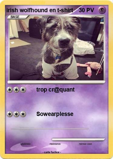 Pokemon irish wolfhound en t-shirt
