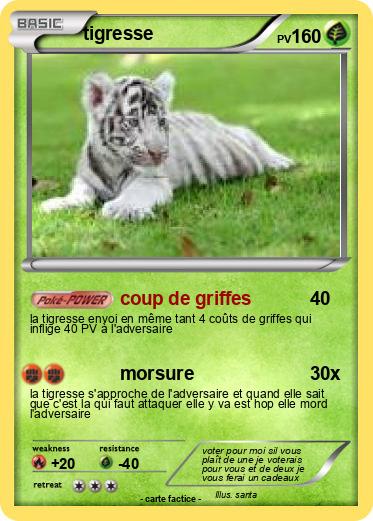 Pokemon tigresse