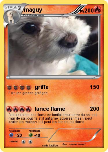 Pokemon maguy