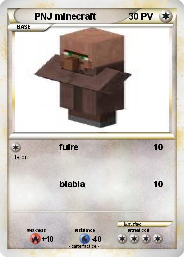 Pokemon PNJ minecraft