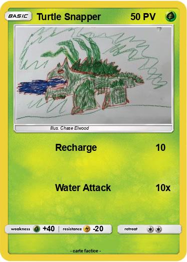 Pokemon Turtle Snapper