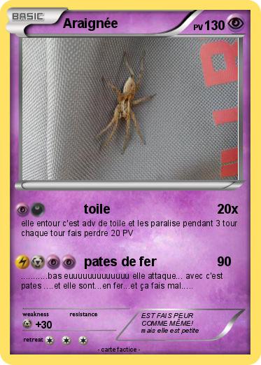 Pokemon Araignée