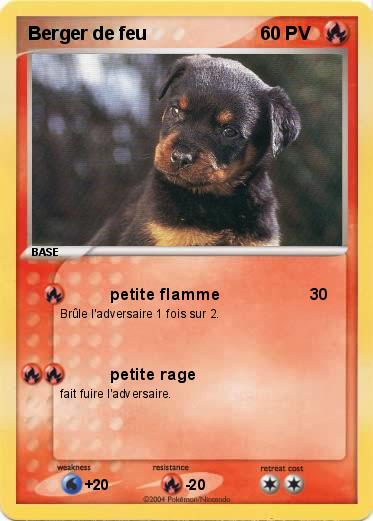 Pokemon Berger de feu