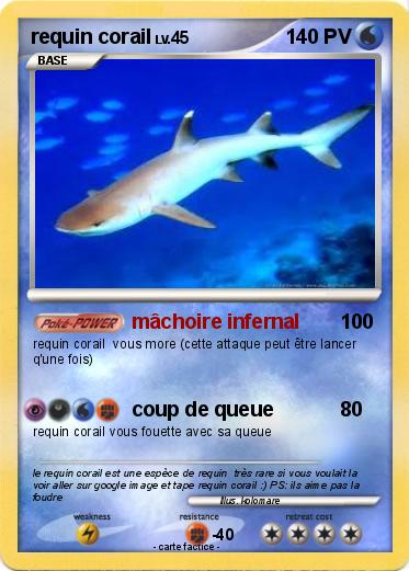 Pokemon requin corail