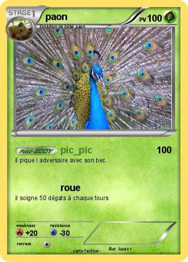Pokemon paon
