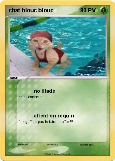 Pokemon chat blouc blouc