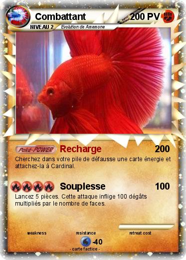 Pokemon Combattant