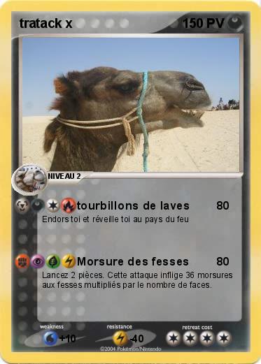 Pokemon tratack x 