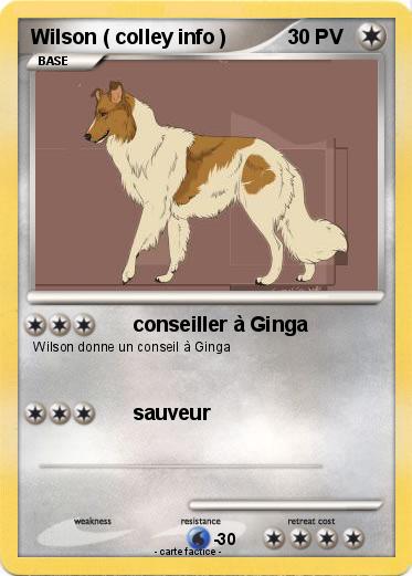 Pokemon Wilson ( colley info )