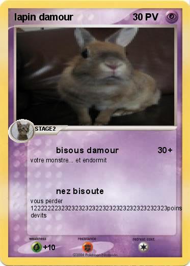 Pokemon lapin damour