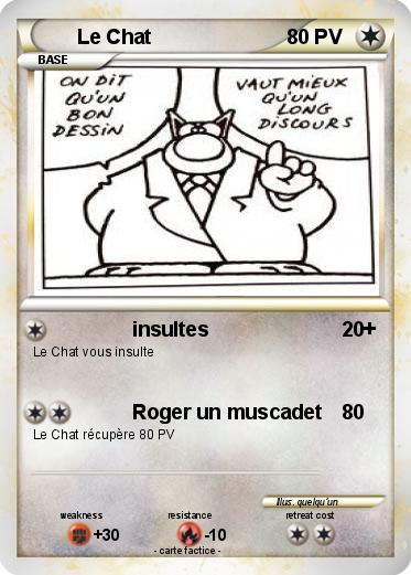 Pokemon Le Chat