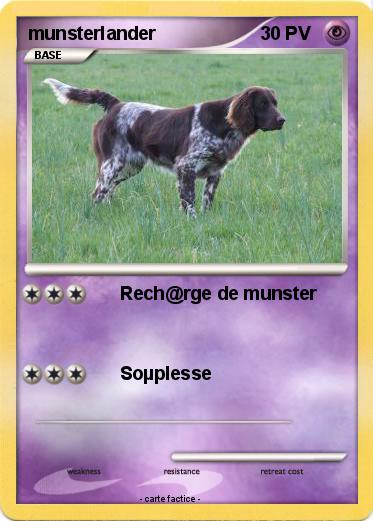 Pokemon munsterlander
