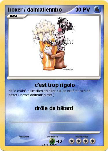 Pokemon boxer / dalmatiennbo