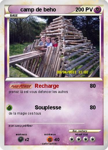 Pokemon camp de beho