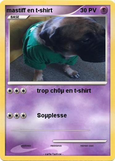 Pokemon mastiff en t-shirt