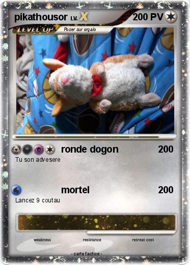 Pokemon pikathousor