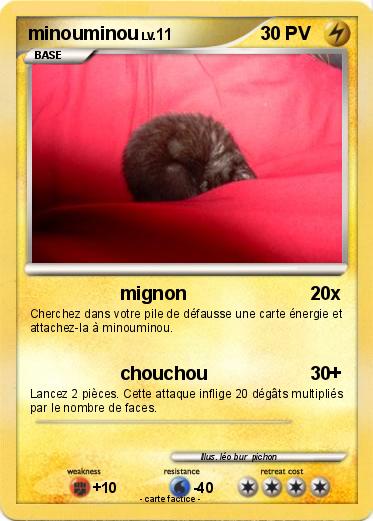 Pokemon minouminou